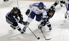 九游娱乐网页-末节风暴！深圳队客场掀翻尼克斯，武切维奇关键战展硬汉本色